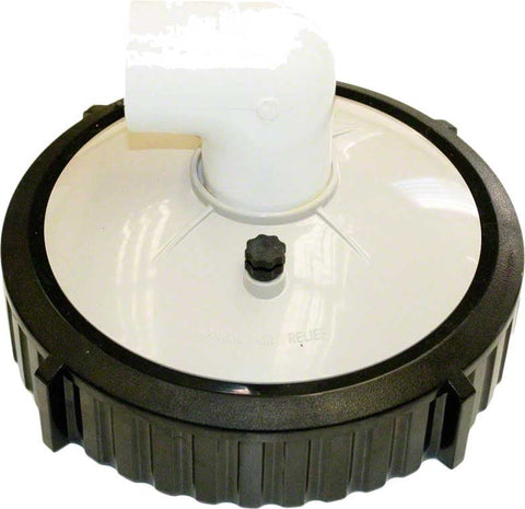 Filter Head with Check Valve and Locking Ring for Easyclear(tm) C400 and 550 Cartridge Filters - Poolweb Image