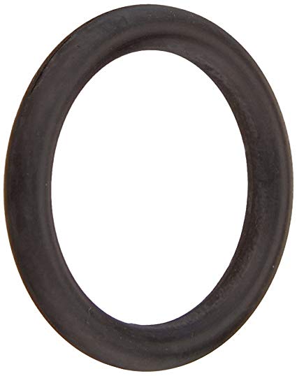 Starclear Plus O-ring - Pool Supplies Canada Image