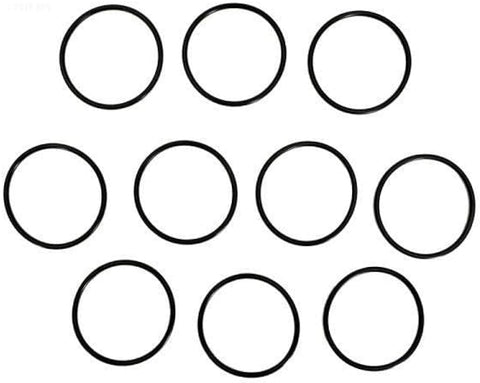 Pentair IntelliChlor O-Rings (Pack of 10) - 521147
