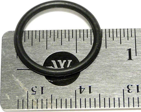 480 Pro/ 3900 Sport Feed Hose Connector Oring - Poolweb Image