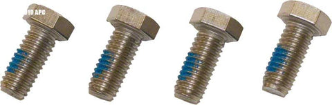 Super II / Ez Flo Motor Cap Screw (4 Pack) - Poolweb Image