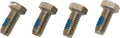 Super II / Ez Flo Motor Cap Screw (4 Pack) - Poolweb Image 1
