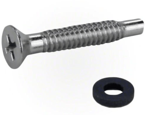 Pentair IntelliBrite | Amerlite Pilot Screw w/ Captive Gum Washer, SS - 619355Z