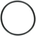 Electrode Oring - Pool Supplies Canada Image