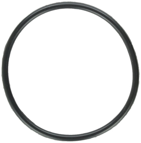Electrode Oring - Pool Supplies Canada Image