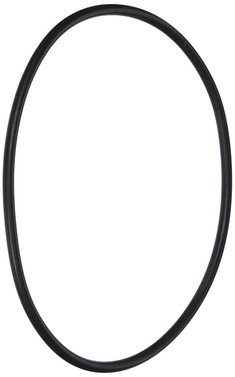 Micro Starclear Lid O-ring - Pool Supplies Canada Image