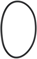 Micro Starclear Lid O-ring - Pool Supplies Canada Image