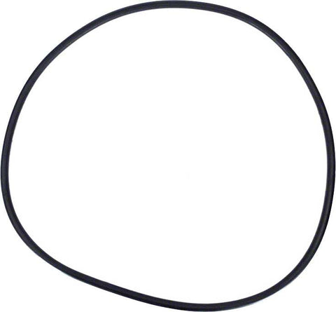 Tank O-ring for Nautilus Filter; 18 Inch Dia. Stainless Steel Tank; 7/16 Inch T - Poolweb Image 1