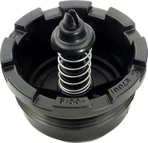 Spring Check Valve for Plm Filter Systems; System 2 Modular Media Filter; System 2 Modular D.e. Filter - Poolweb Image