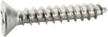 Stainless Steel Screw for Adjustable Floor Inlet; White Goods - Drains; #8 X 1 Inch - Poolweb Image