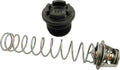 Thermal Regulator Kit for Max-e-therm and Mastertemp®Heater Water System - Poolweb Image