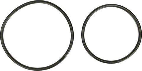 Swimclear O-ring Kit (set of 2) - Poolweb Image