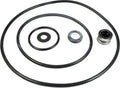 Parts-paks(tm) Seal/gasket Kit for P4e; P4e1. P4r. P4ra (models Without Copper Insert Beginning 1998) - All HP Pump - Poolweb Image