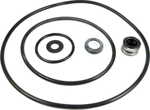 Parts-paks™Seal/gasket Kit for P4e; P4e1. P4r. P4ra (models Without Copper Insert Beginning 1998) - All HP Pump - Poolweb Image