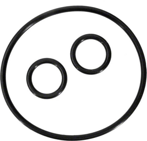 Sp0410x Bonnet O-ring Kit - Poolweb Image