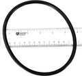 Maxflo II | Turboflo II Strainer Cover O-ring - Poolweb Image