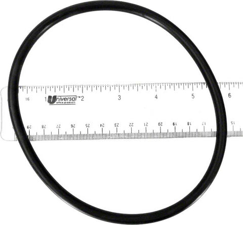 Maxflo II | Turboflo II Strainer Cover O-ring - Poolweb Image