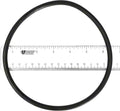 Tristar Strainer Cover O-ring - Poolweb Image