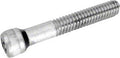 Tristar Impeller Screw - Poolweb Image