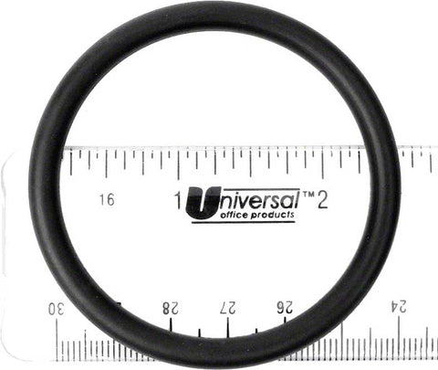 Matrix Strainer O-ring - Poolweb Image
