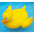 4/cs Giant Lucky Ducky Ride-on - Pool Supplies Canada Image