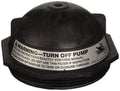 Triton II 6" Buttress Thread Closure (after 12-1-91) - Pool Supplies Canada Image