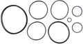 O-ring Kit for Nature2(r) Fusion Soft Mineral Sanitizer - Poolweb Image