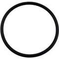 Cl100 | Cl110 Cover O-ring - Pool Supplies Canada Image