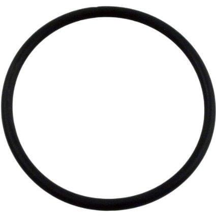 Cl100 | Cl110 Cover O-ring - Pool Supplies Canada Image