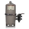 DEP 500 Series Pleated Element DE Filter 60 Sq.Ft.