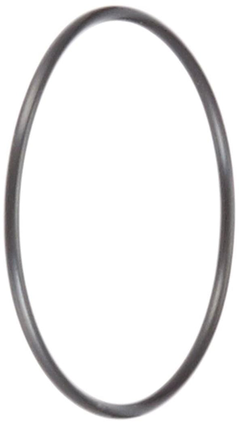 Swimclear Outlet Pipe O-ring - Pool Supplies Canada Image 1