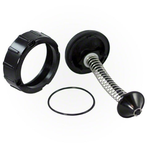 Jandy R0453700 - Bypass Assembly, Polymer