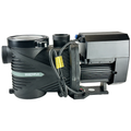 Moov 1.65hp Vsp Pump Dual Voltage - Pool Supplies Canada Image
