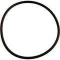 Carvin Strainer O-Ring