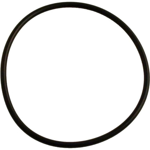 Carvin Strainer O-Ring