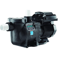 Supermax®VS Energy Efficient Variable Speed Variable Speed Pump with Timer; 1.5 HP - Pool Supplies Canada Image