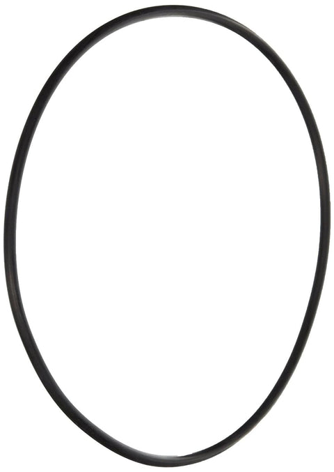 Pinnacle/ Superflo Seal Plate Oring - Pool Supplies Canada Image