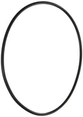 Pinnacle/ Superflo Seal Plate Oring - Pool Supplies Canada Image