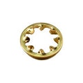 Polaris C45 - Lock Washer for C36