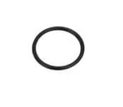 Nature2 Fusion Small Collar O-ring - Pool Supplies Canada Image