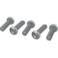 Hayward Torx Screw Pack for ALL Models - RCX12011