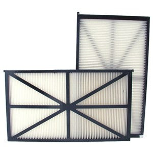 Hayward Cartridge Filters (Set of 2) - RCX70101PAK2