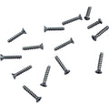 Sp1085 Faceplate Screw (coarse Threads) - Pool Supplies Canada Image