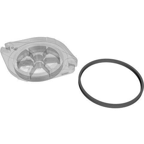 Hayward MaxFlo I | UltraMax Strainer Cover Gasket - SPX0125T