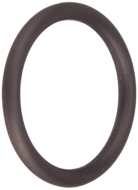 Drain Pipe O-ring for S160t; S245t; S190t; S200 and S240 Sand Filters; 1 Inch Od - Pool Supplies Canada Image