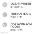 Hayward AquaRite® Salt Chlorinator for 15,000 Gallons - AQR3XLCUL Corded