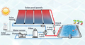 Enersol 1' x 10' Solar Heating Panel