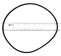 Zodiac R0446300 - O-Ring, Backplate Shp, Php, Mhp