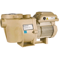 2.6thp 115/208-230v Whisperflo VST VS Pump - Pool Supplies Canada Image