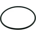 Chlorinator Viton O-ring - Pool Supplies Canada Image